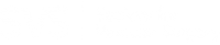 svs logo big 200x41 - Endoleaks (Type I-V)